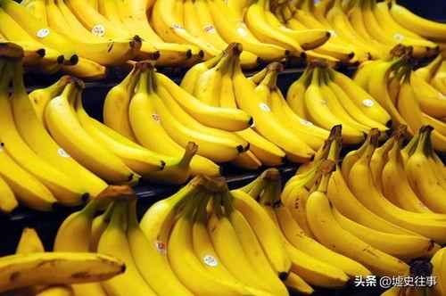 国产香蕉网,探索中国香蕉产业的魅力与未来 第2张 国产香蕉网,探索中国香蕉产业的魅力与未来 第2张